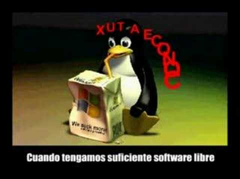 Imagen de previsualización de YouTube