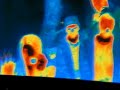 *Heat map** :) *Heat map** :)
