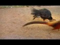 MOV01a