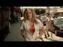 blink 182 what\
