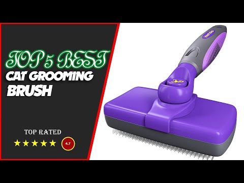 😺 The best cat grooming brush - Expert's Review!