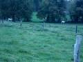 la cambrousse