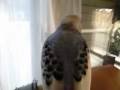 videos de 090108_1025~0001.m4v