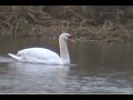 Thames Part One - Source to Eton