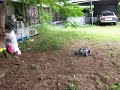 1/10 Nitro Buggy Donuts