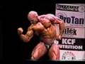 NPC-Giant-Heavyweigh