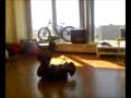 The Real 360  NYC