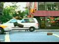 car accident - not funny but i bet you'd laugh!