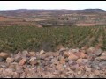 AXIAL VINOS - Harvest in DO Calatayud 2012