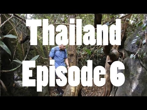 YouTube reptile video
