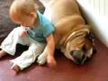 videos de E the veterinary dentist