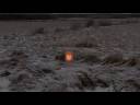 Candlelights Candlelights