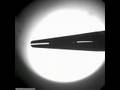 videos de Mechanical model of phalarope beak