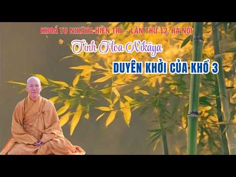 Tinh Hoa NIKAYA - Duyên Khởi Của Khổ 3