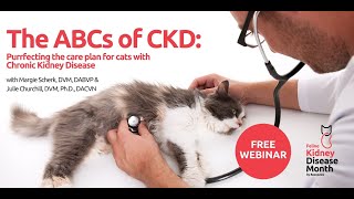 The ABCs of CKD: Purrfecting the care plan for cats with Chronic Kidney Disease
