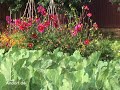 Der Samengarten bei Eichstetten am Kaiserstuhl