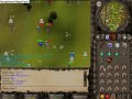 Mariois Kewl Dh Pking