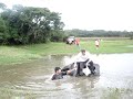 Achei q dava ! Achei q dava !