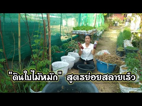 มาทำดินใบไม้หมัก สูตรย่อยสลายเร็วกันค่ะ ปลูกพืชผักได้เลยไม่ต้องผสมอะไรเพิ่มอีก