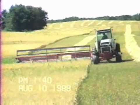 swathing - Swathing barley in Sask.