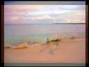 Markanera feat Nita - Beach (Summer edit)
