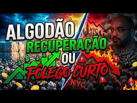 Algodão em Nova York: Recuperação à vista ou fôlego curto após quedas consecutivas?