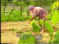Maksudiye ( cennetten kö?e ) Maksudiye ( cennetten kö?e )