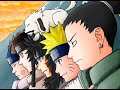 One Big Ninja Family