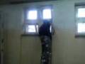 videos de tarzan.3gp