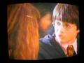 Edgar´s Life Harry Potter y el paquete de Frijoles secreto Edgar´s Life Harry Potter y el paquete de Frijoles secreto