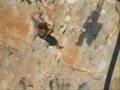 Marisñakis 7C+ Cala Magraner(boveda)