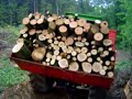 le deutz au bois de Hees