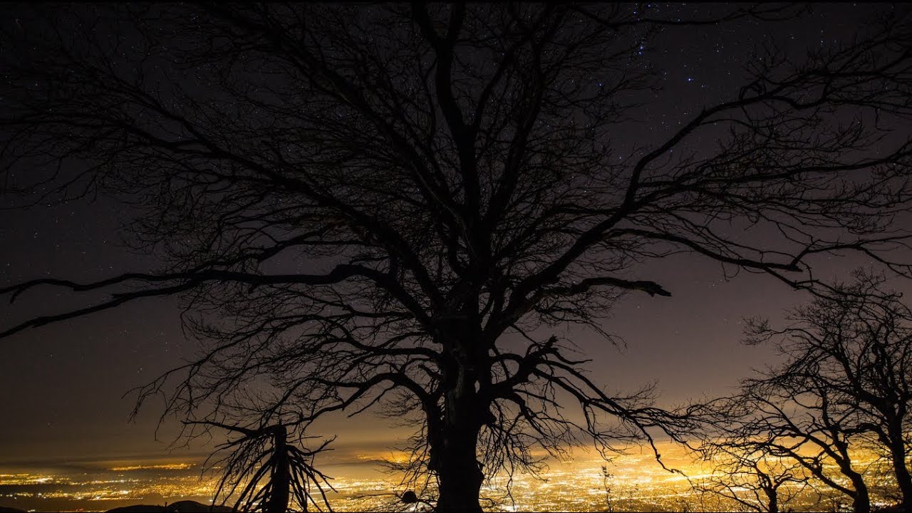 ASK iAN * MARK LANEGAN & MOBY * THE LONELY NIGHT