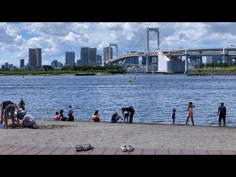 動画