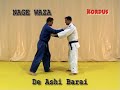 Judo White and Yellow Belt Requirements Judo White and Yellow Belt Requirements