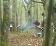 enduro cincuentero