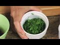 How to Cook Mediterranean Quinoa Salad