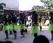 Like The Molave