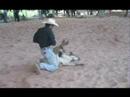 calf tie-down clip regis fotos calf tie-down clip regis fotos