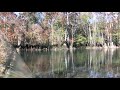A crisp, cool fall morning at Morrison Springs in Walton County, Florida A crisp, cool fall morning at Morrison Springs in Walton County, Florida