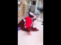 Click here to watch this video CRAZY BABY