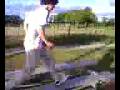 videos de rico tryin 2 boardslide nd fall