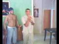 videos de memo gaita y gosugaita