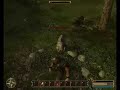 Gothic 3: beware the wild boar!