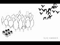 Save our souls - Felipe Almendros