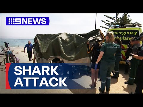 Uomo che combatte per la vita dopo essere stato malato dallo squalo in nuoto mattutino | 9 Notizie Australia Uomo che combatte per la vita dopo essere stato malato dallo squalo in nuoto mattutino | 9 Notizie Australia