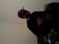 Tripping Out On Da Birch Tripping Out On Da Birch