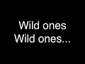 Flo Rida feat. Sia – Wild Ones