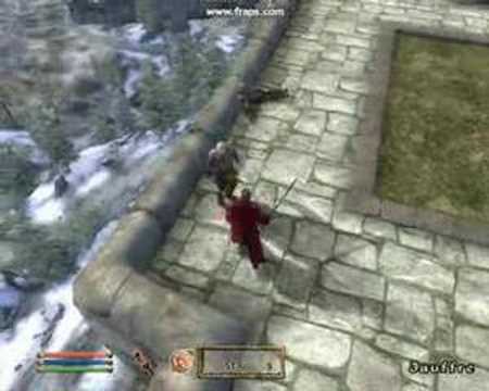 Oblivion bugs