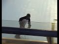 Inline Hockey 2003 World Championships (FIRS) Womens